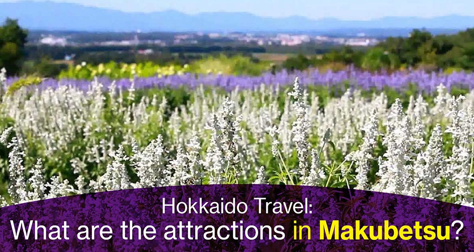 Hokkaido Travel:  What are the attractions in Makubetsu?
